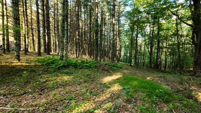 Parcel 2-30 | Image 16