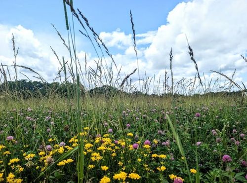 1775 Doyle St, Osceola, IA, 50213-8048 | Card Image