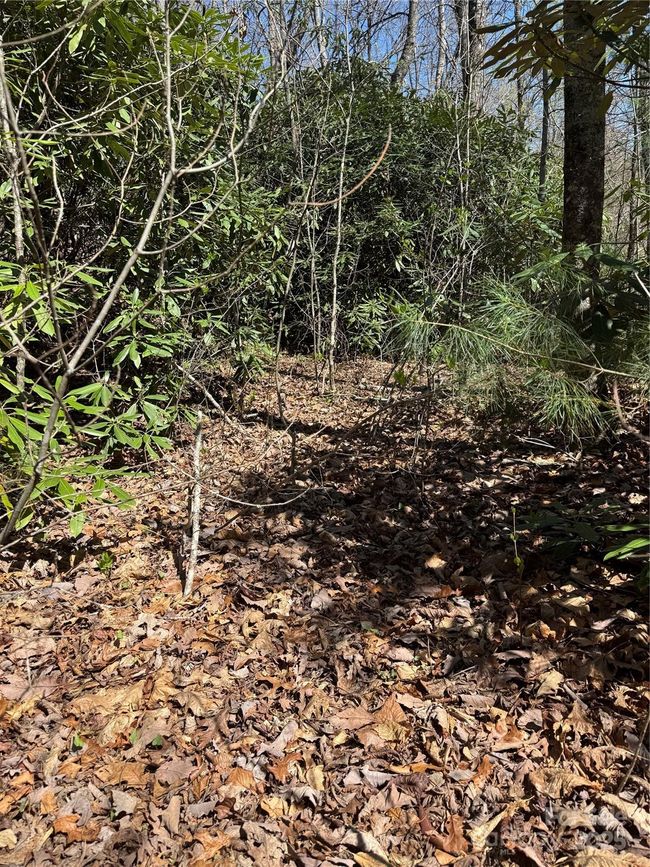 level lower portion of lot | Image 21