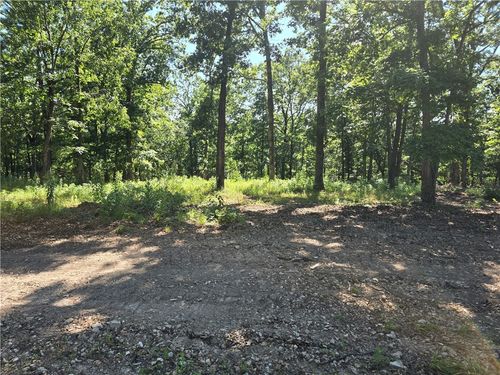 Lot 9 Esculapia Hollow Rd, Rogers, AR, 72758 | Card Image