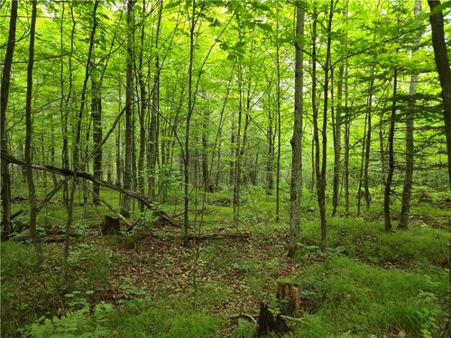 31 Woodcrest Drive, Cable, WI, 54821 | Card Image