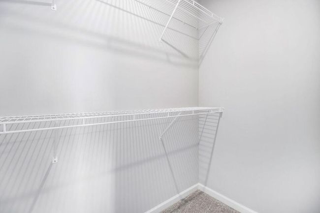 Stock Photo-WIC | Image 21