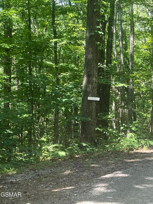 10 Windswept Cir, Newport, TN, 37821-7370 | Card Image