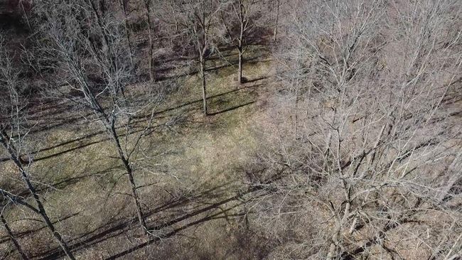 12100 Woodland Trl, Home with 0 bedrooms, 0 bathrooms and null parking in Davisburg MI | Image 22