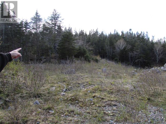 37-41 A Conception Bay Highway, Home with 0 bedrooms, 0 bathrooms and null parking in Harbour Main NL | Image 9