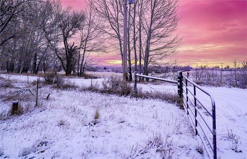 12 Gebo Rd, Fromberg, MT, 59029 | Card Image