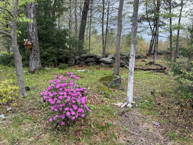 264 Sargent Hill Rd, House other with 3 bedrooms, 2 bathrooms and null parking in Grafton NH | Image 53