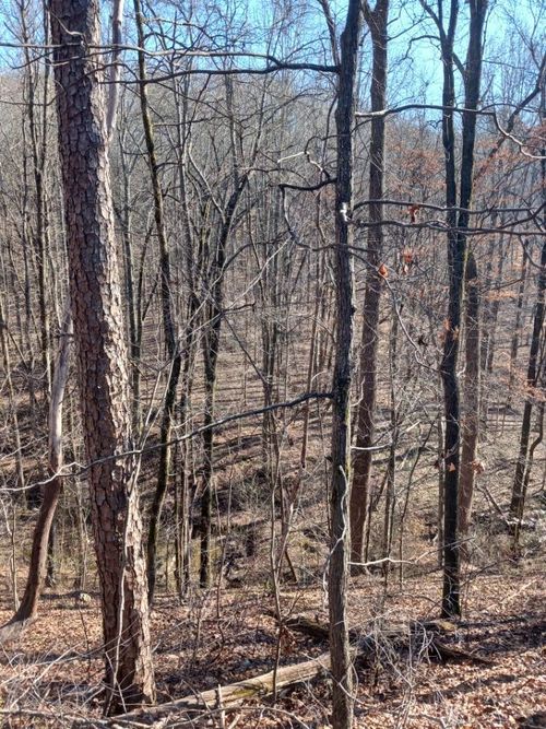 311 Roberts Mill Rd, HIXSON, TN, 37343-1924 | Card Image