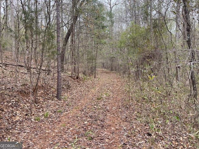 0 Green Oak Cir, Home with 0 bedrooms, 0 bathrooms and null parking in Thomaston GA | Image 9