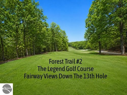 2 Forest Trail, Bellaire, MI, 49615 | Card Image