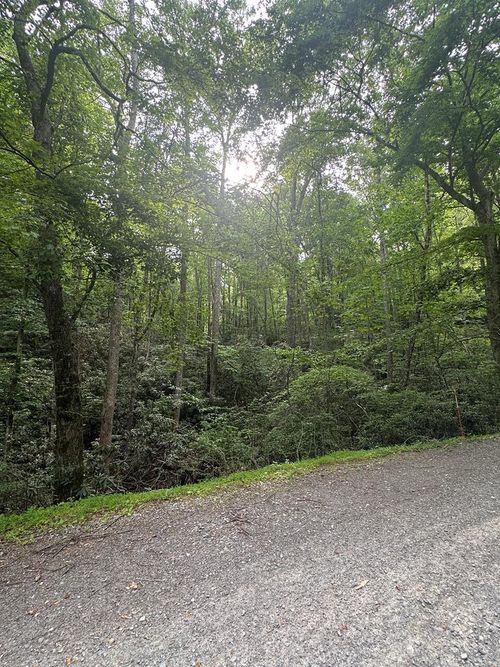 TBD Spring Branch Rd, Ararat, VA, 24053 | Card Image