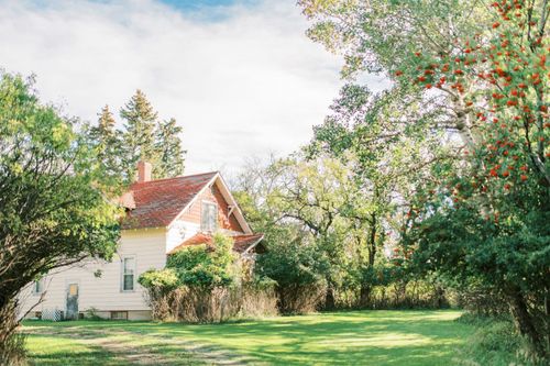 {{alt}} | Card Image