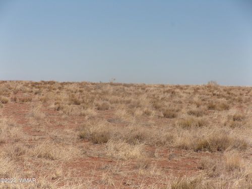 7846 Starlight Rd, Holbrook, AZ, 86029 | Card Image