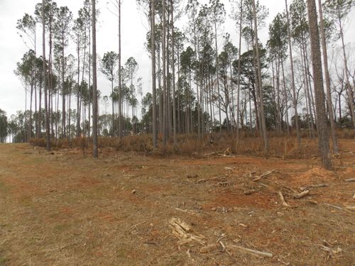 2 Mosley Rd, Lincolnton, GA, 30817 | Card Image