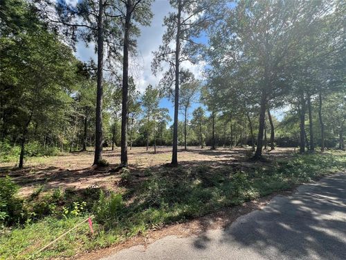 TBD Lot 3 Deerwood Drive, Plantersville, TX, 77363 | Card Image