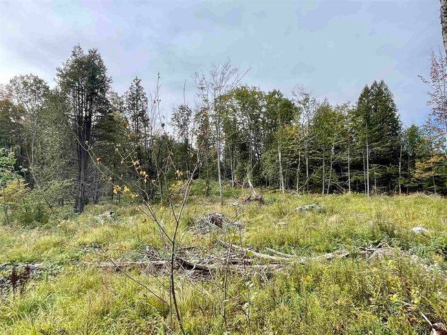 2209 Underpass Rd, Home with 0 bedrooms, 0 bathrooms and null parking in Sutton VT | Image 13