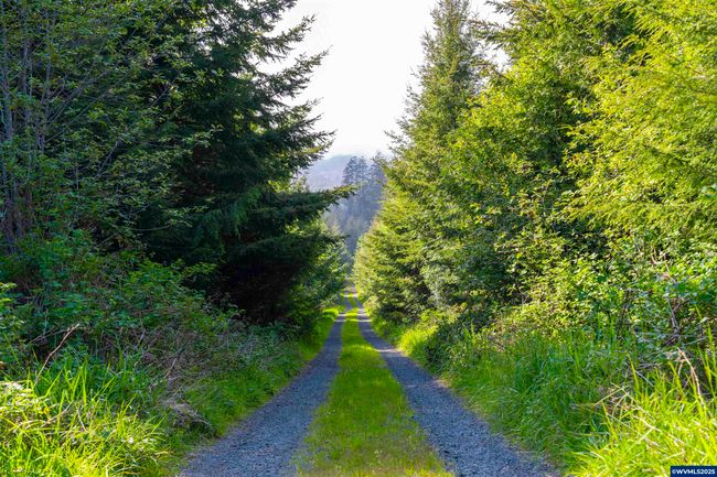 0 Elmer Miller Rd, Home with 0 bedrooms, 0 bathrooms and null parking in Siletz OR | Image 15