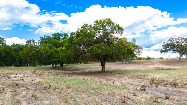 TRACT 5 46 Fm 1621, Home with 0 bedrooms, 0 bathrooms and null parking in Comfort TX | Image 19