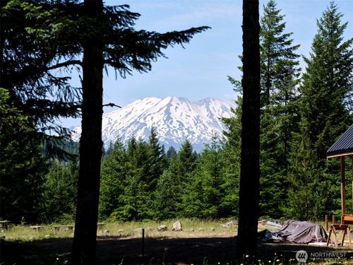 2 Phyllis Ann Block Court, Cougar, WA, 98616 | Card Image