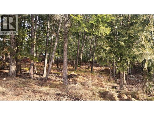 938 23 Highway, Nakusp, BC, V0G1R0 | Card Image