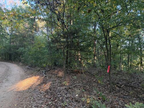 TBD Skylark Road, Washburn, MO, 65772 | Card Image