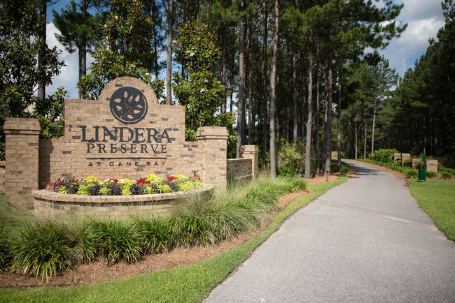 Lindera Preserve | Image 40