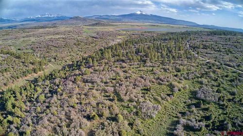 TBD Gurley Lake Dr, Norwood, CO, 81423 | Card Image