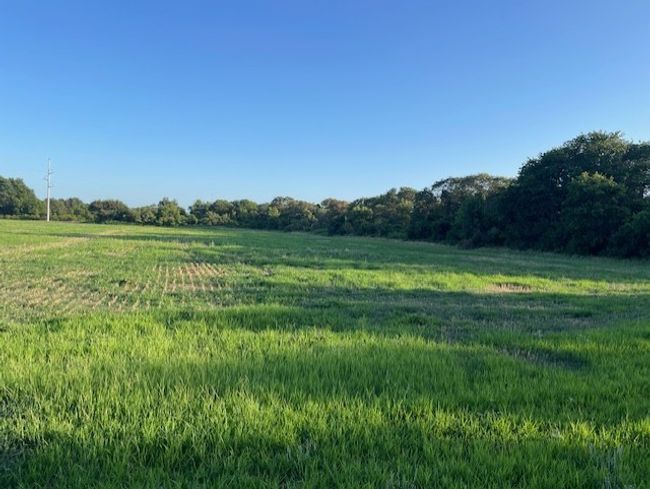 2051 E Fm 583, Home with 0 bedrooms, 0 bathrooms and null parking in May TX | Image 19