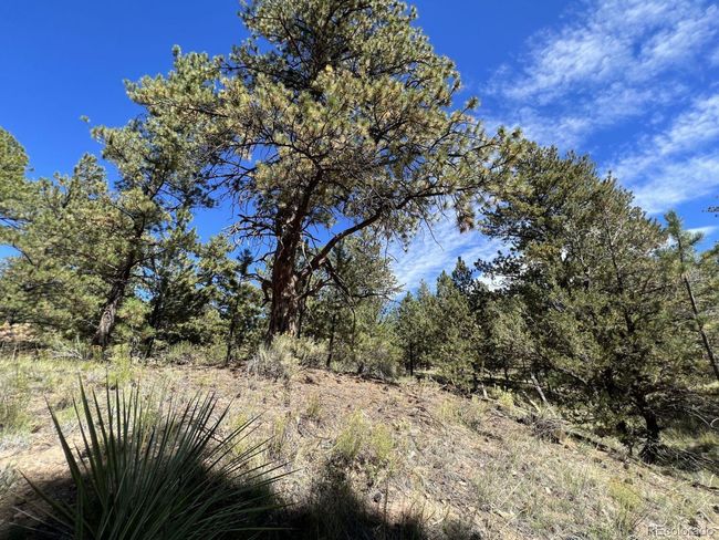 82 Kiowa Cir, Home with 0 bedrooms, 0 bathrooms and null parking in Westcliffe CO | Image 19