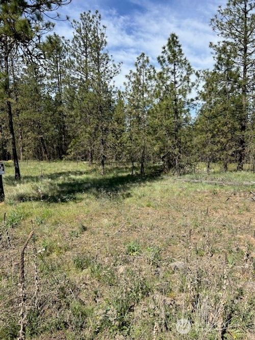 0 Rocky Ridge Ln, Davenport, WA, 99122 | Card Image