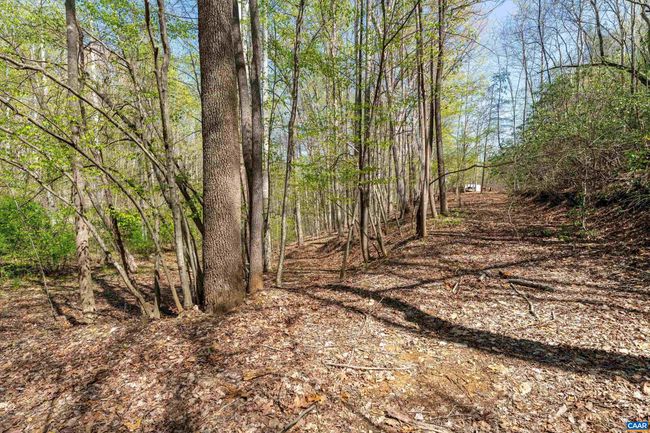 817 Brownings Cv, House other with 3 bedrooms, 2 bathrooms and null parking in SHIPMAN VA | Image 37
