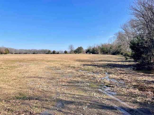 000 Brewer Rd, Home with 0 bedrooms, 0 bathrooms and null parking in Conway AR | Image 16
