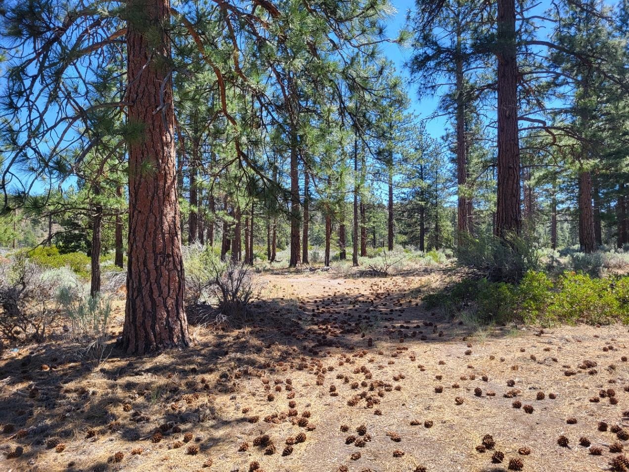 Land in Montague 5