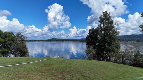 Tract 4 Pinewood Dr, Langston, AL, 35755-7046 | Card Image