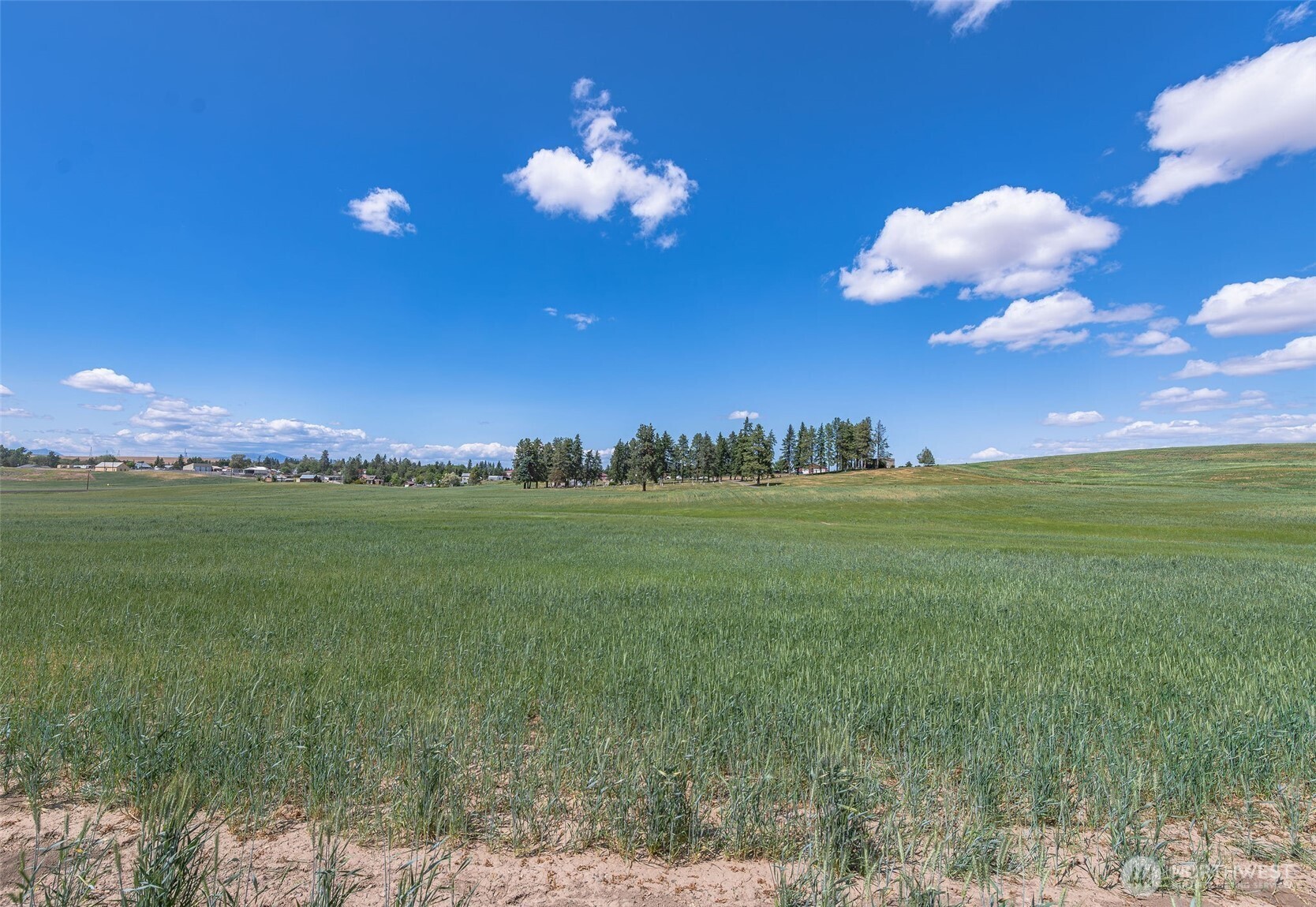 Land in Waterville 4