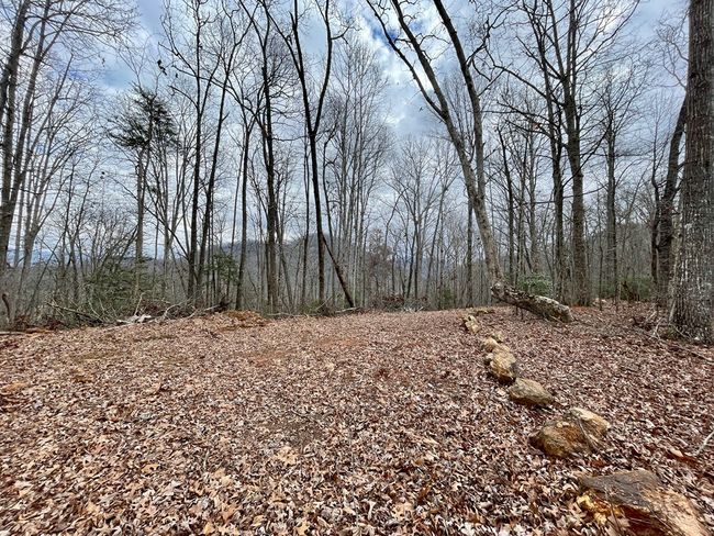 #114 Eagles Vw, Home with 0 bedrooms, 0 bathrooms and null parking in Hayesville NC | Image 13
