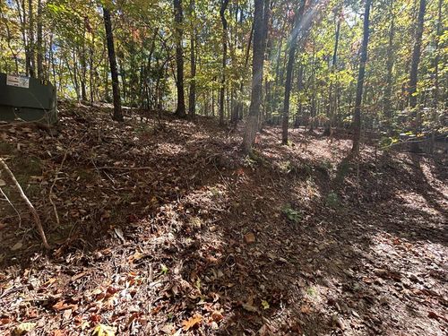Lot 1 &2 Royal Oaks Trl, Brasstown, NC, 28902 | Card Image