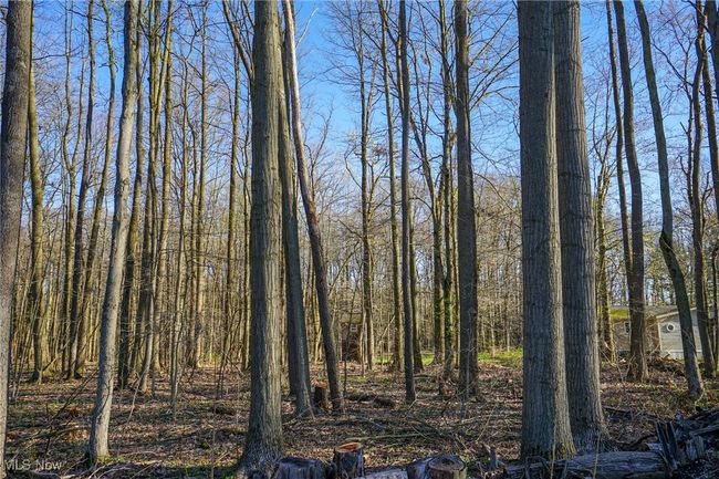 View of landscape | Image 28