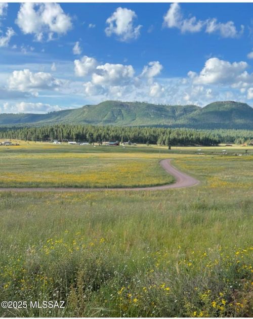 32-Lot 32 The Ranch At Alpine, Alpine, AZ, 85920 | Card Image