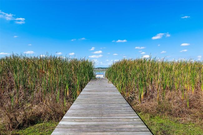 9804 Rowing Dale Bnd, House other with 4 bedrooms, 3 bathrooms and null parking in WESLEY CHAPEL FL | Image 79