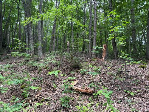 TBD Red Clover Rd, Banner Elk, NC, 28604 | Card Image