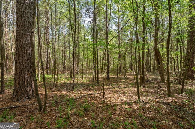 0 Skull Shoals Rd, Home with 0 bedrooms, 0 bathrooms and null parking in Washington GA | Image 9
