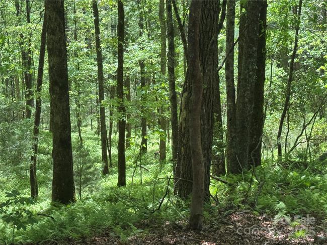 4 - 9999 Sassafras Ln, Home with 0 bedrooms, 0 bathrooms and null parking in Cedar Mountain NC | Image 33