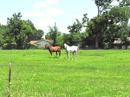 6100 Stuebner Airline Rd, Houston, TX, 77091-4303 | Card Image