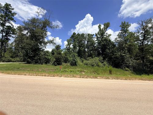 12075 High Branch Way, Willis, TX, 77378 | Card Image