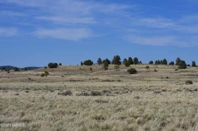2 E Tanner Ranch Rd, Home with 0 bedrooms, 0 bathrooms and null parking in Parks AZ | Image 8