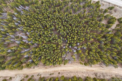 703 Texas Dr, Idaho Springs, CO, 80452-9768 | Card Image