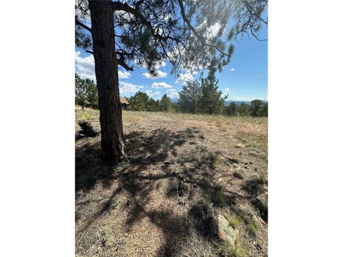 627 Navajo Trl, Florissant, CO, 80816-8689 | Card Image