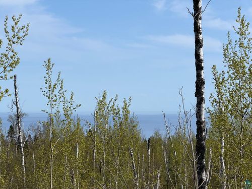 Lot 5 Birch Cliff Dr, Tofte, MN, 55615 | Card Image