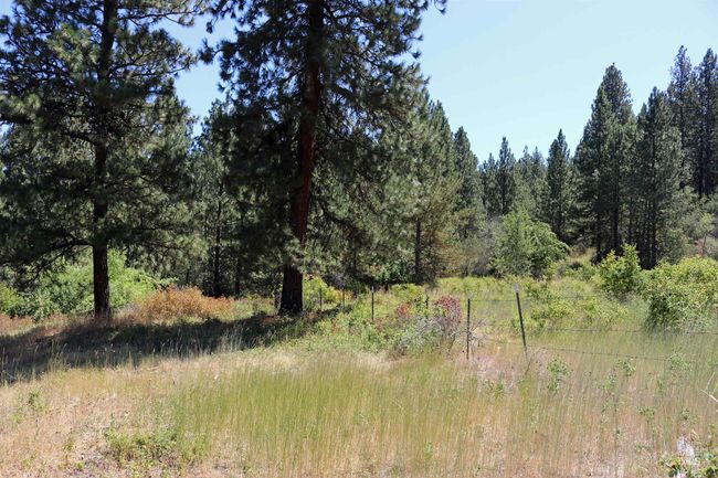 View of wooded area | Image 42